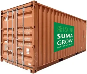 a close-up of a container