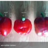 Before-and-After-Picture-of-Peppers-SumaGrow-OMRI-Listed-Biofertilizer-Increase-Yields-Organically-Sustainable-Agriculture