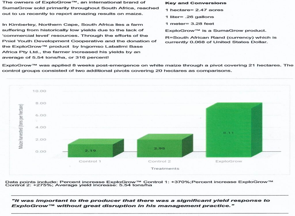 corn maize crop study